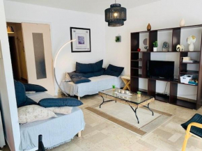 Appartement F2 cosy avec terrasse, plein sud, à 600m des cures et 400m du centre, animaux acceptés. - FR-1-703-79